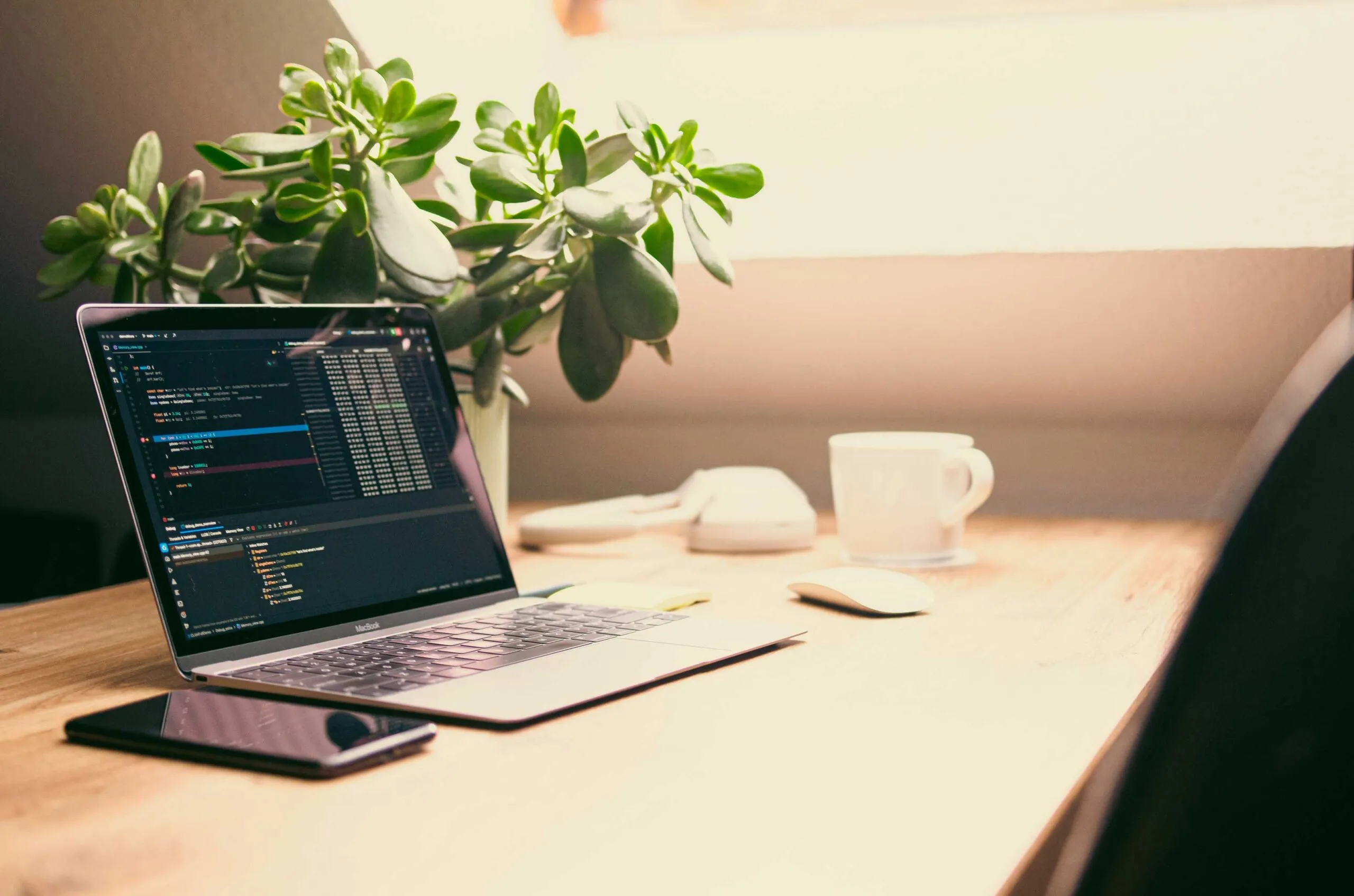 website development and designing